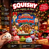 Calendrier de l’Avent Dumplings Squishy